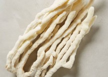 Sculptural-sea-sponge-from-Anthropologie-217x155
