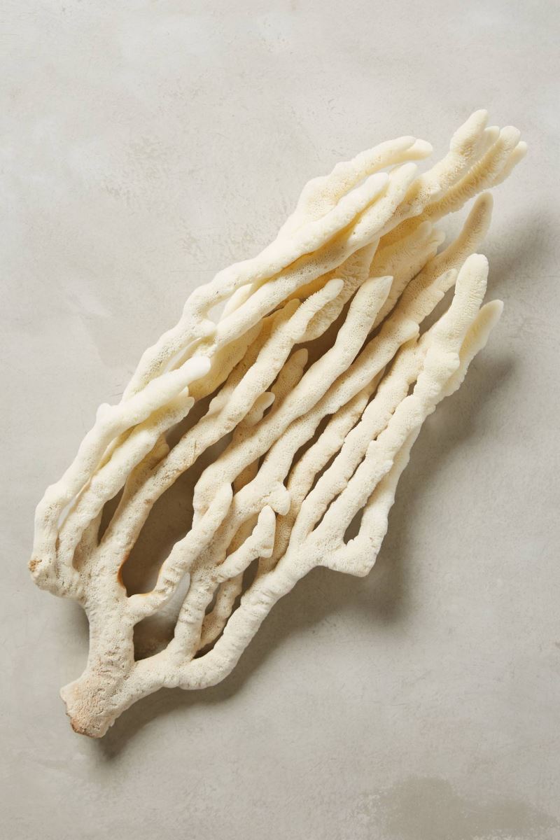 Sculptural sea sponge from Anthropologie