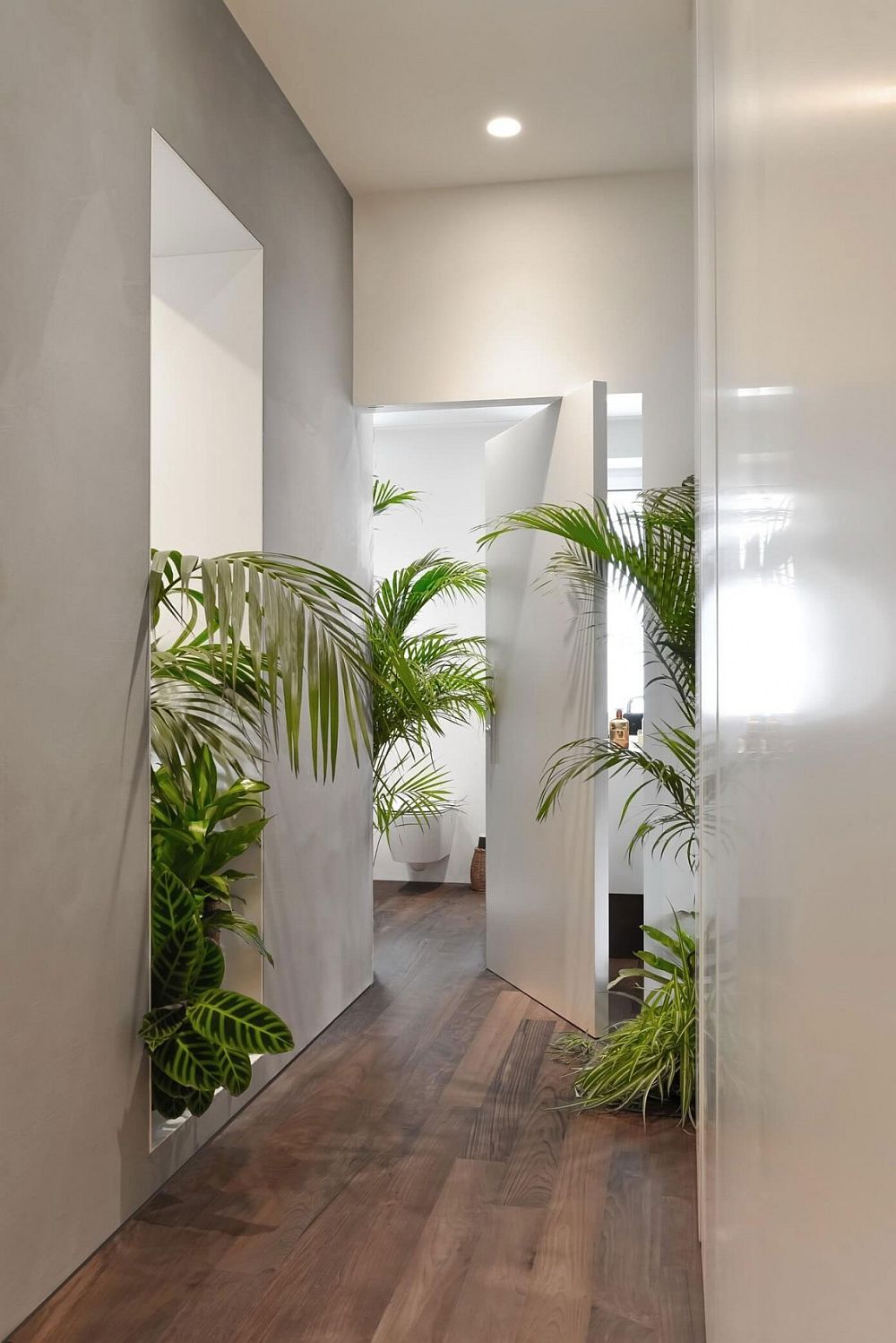 Smart partitions and greenery shape the fabulous Milan apartment