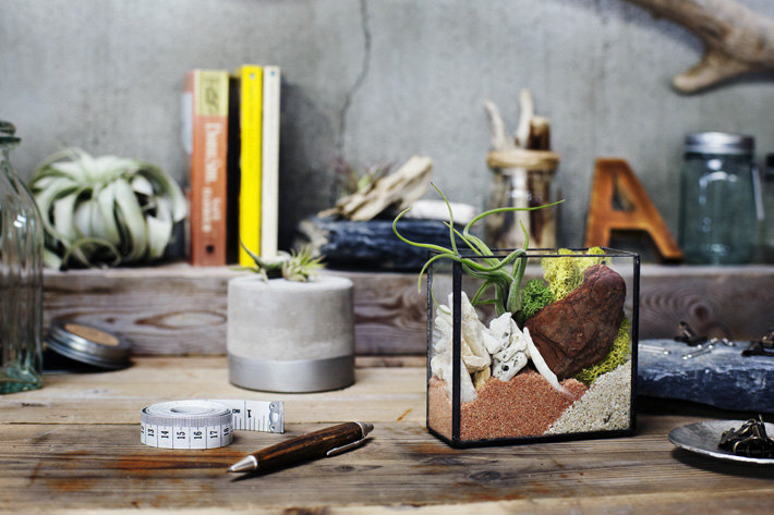 Terrarium kit from Urban Green Makers