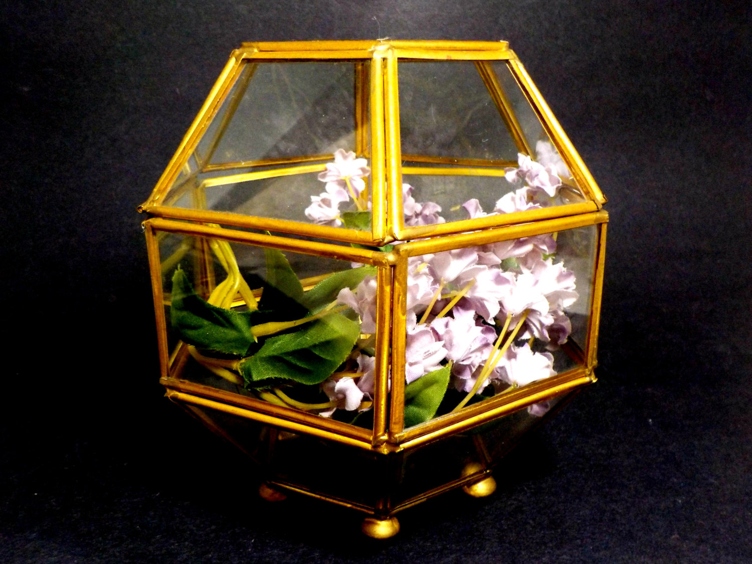 Vintage geometric terrarium