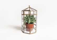 Vintage-terrarium-from-Etsy-shop-Moineau-217x155