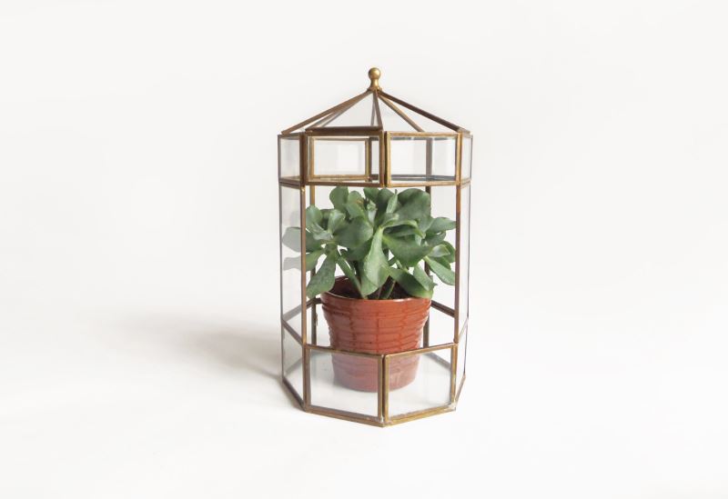 Vintage terrarium from Etsy shop Moineau