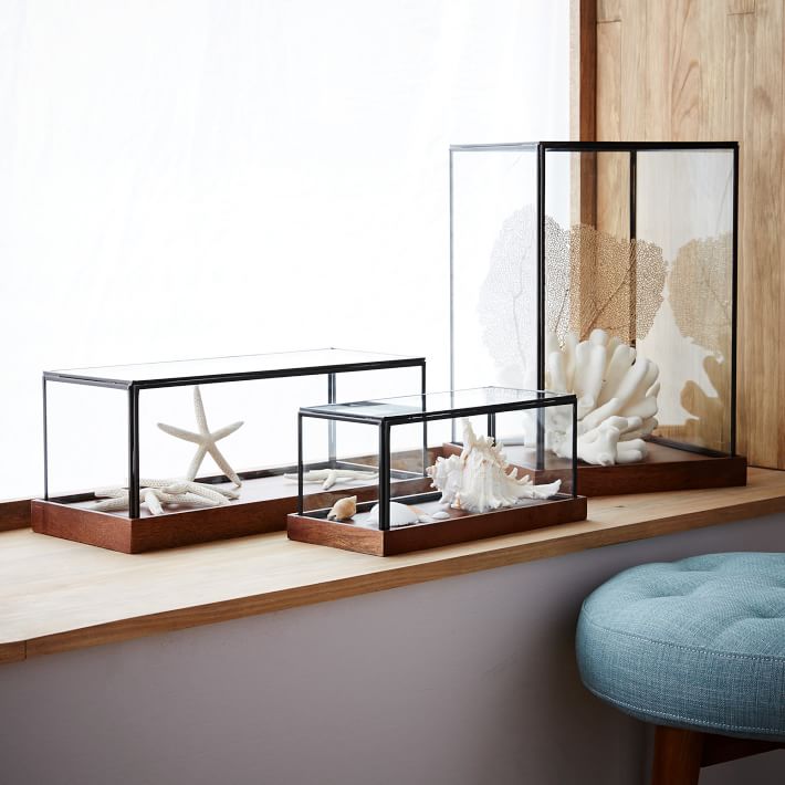 Wood and glass display cases from West Elm