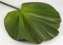 Artificial-palm-leaf-217x155