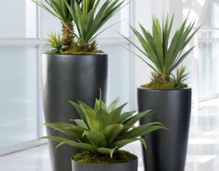 Faux Plants: Yes or Naux?