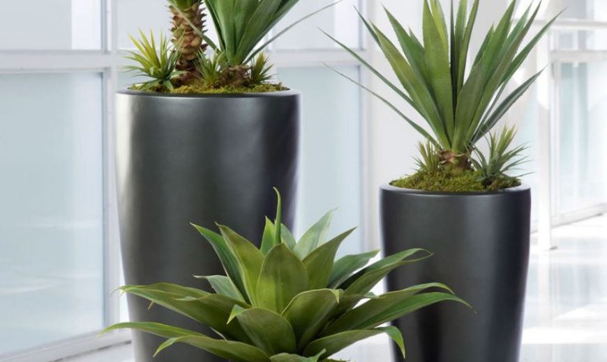 Faux Plants: Yes or Naux?
