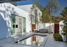 Contemporary-and-private-courtyard-design-with-a-small-pool-217x155