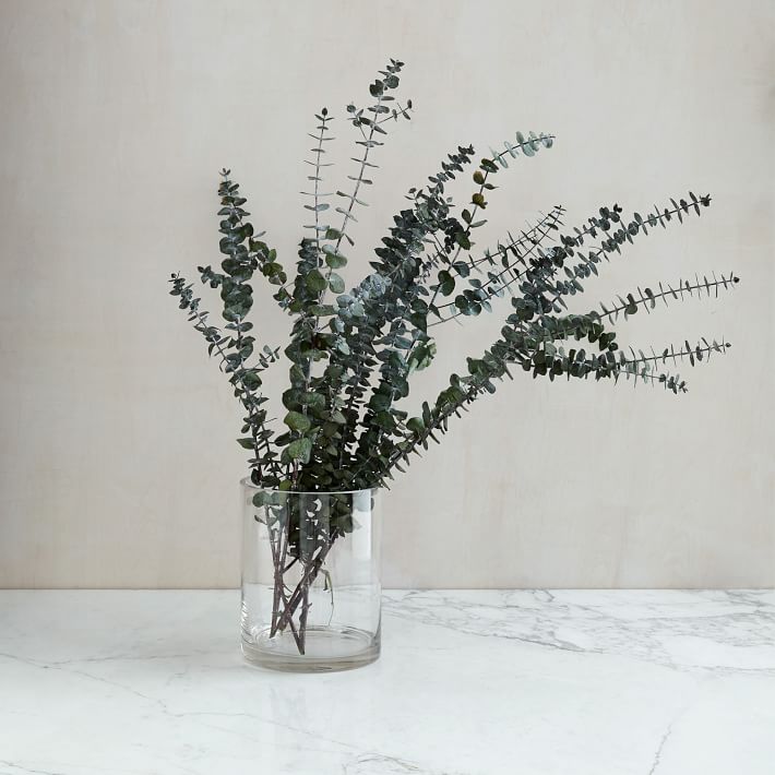 Eucalyptus bundle from West Elm