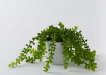 Faux-potted-succulent-from-West-Elm-217x155