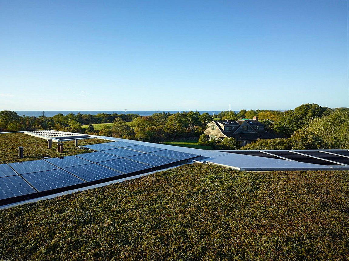 Flat planted roof deck with ocean views