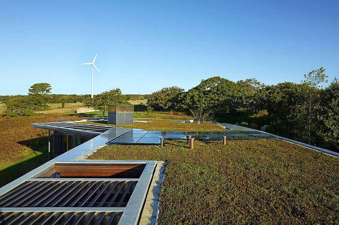 Green rooftop with solar panels