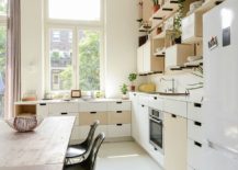 Kitchen-with-ample-storage-space-217x155