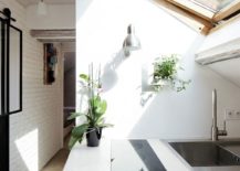 Skylight-brings-sunlight-into-the-small-kitchen-217x155