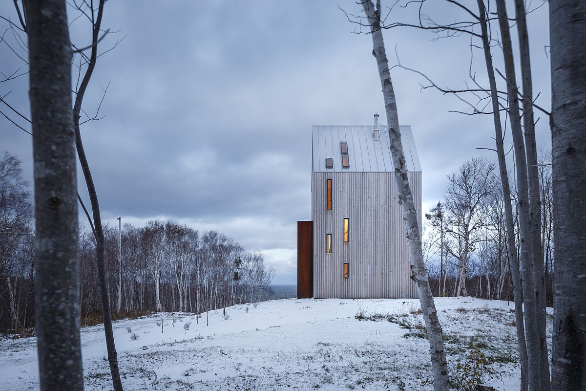 Tall cabin offers amazing views of both the forest and the coastline