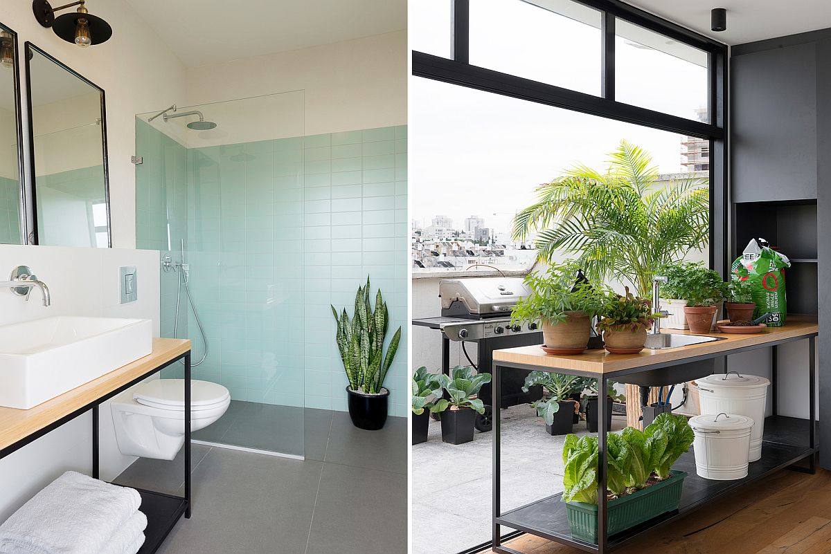 Bathroom and rooftop level garden at the stylish Israeli home