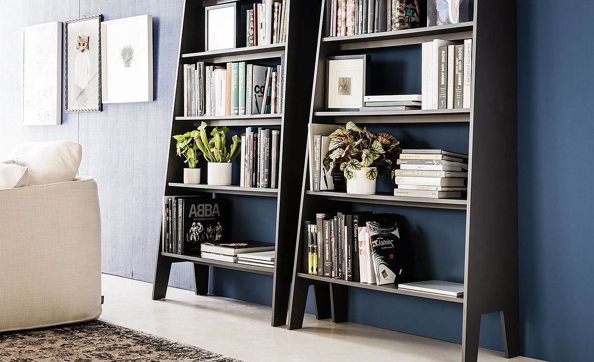 Deceptively spacious and sleek bookshelves with ladder design