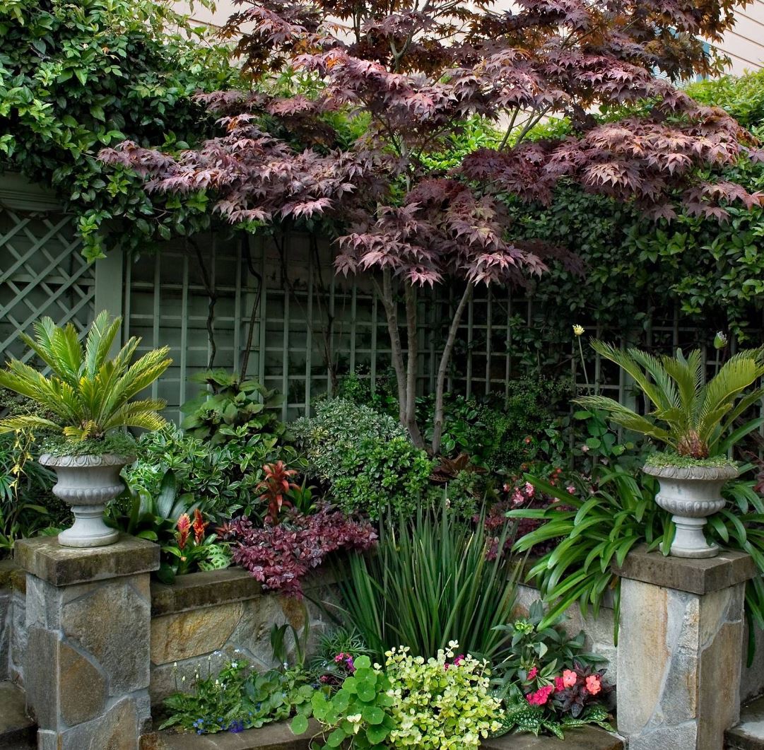 Garden oasis featuring a variety of plant life