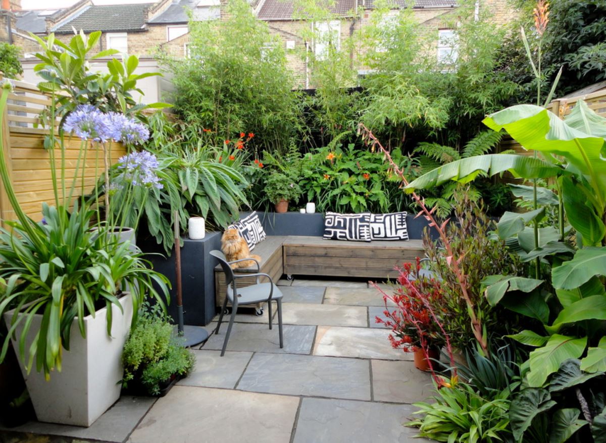 Garden oasis with ample plants