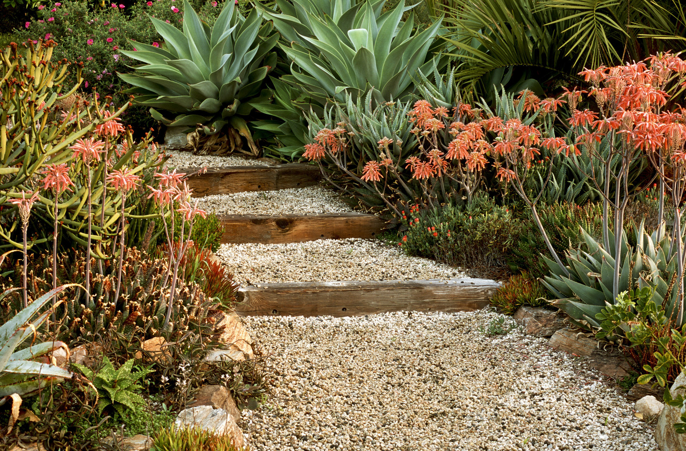 Garden pathway with steps