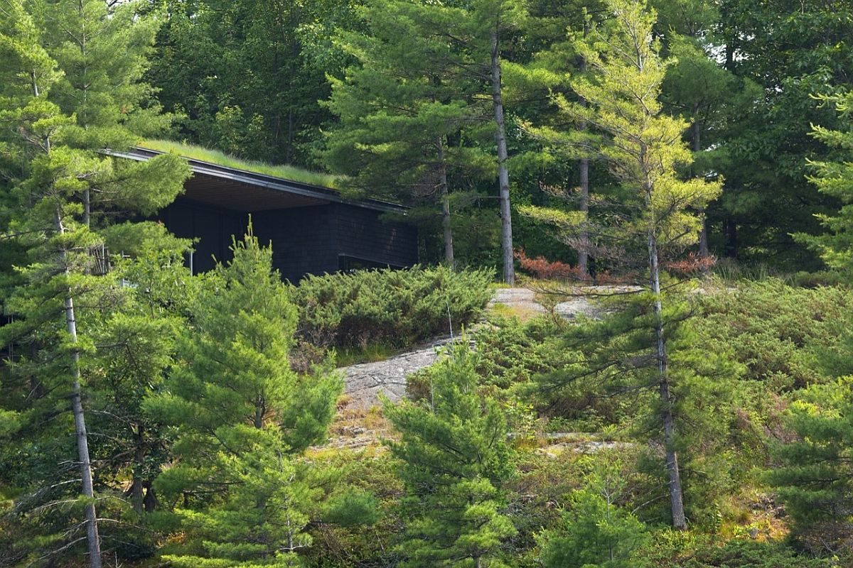 Green roof and dark cedar exterior of the cabin allow it to dissapear into the lush green backdrop