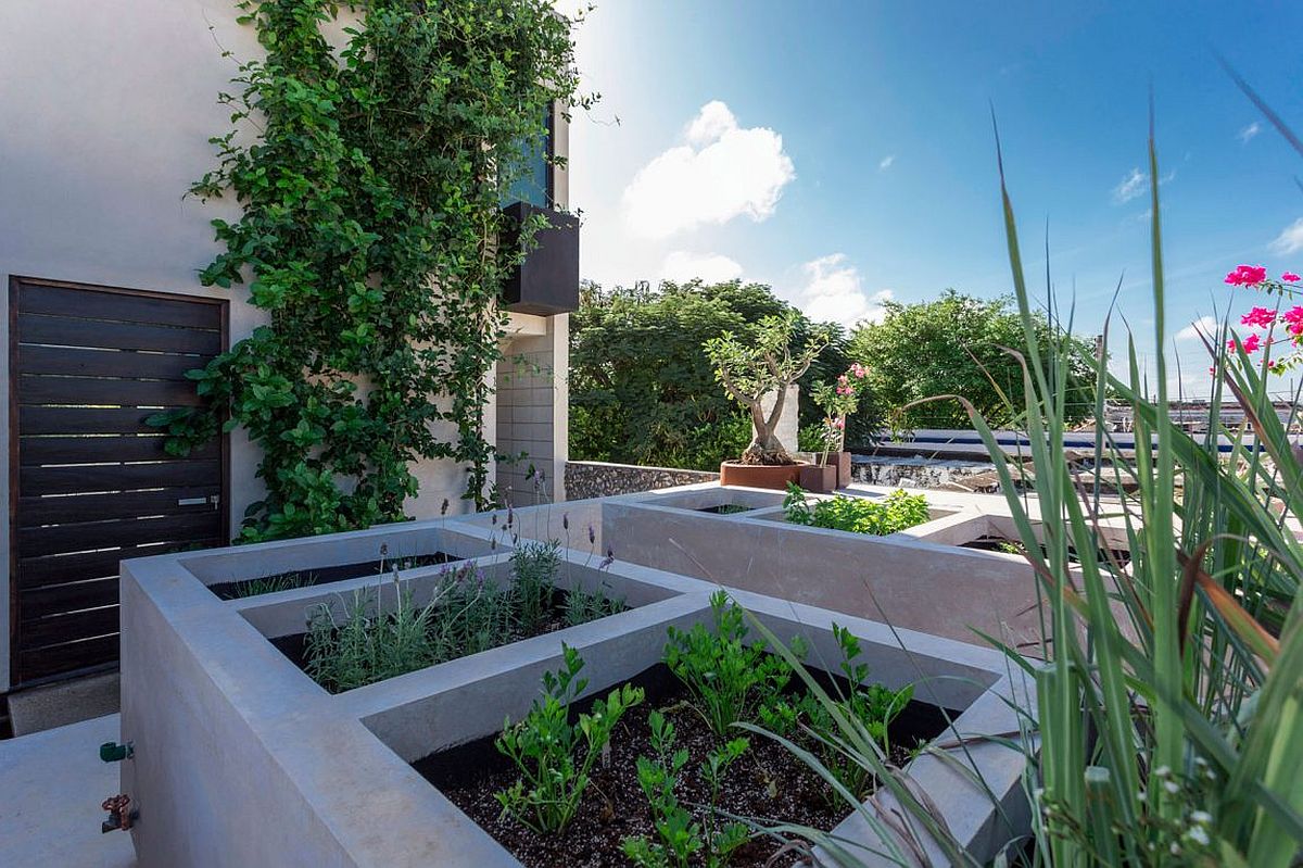 Natural greenery and passive cooling techniques elevate the comfort level at this Mexican home