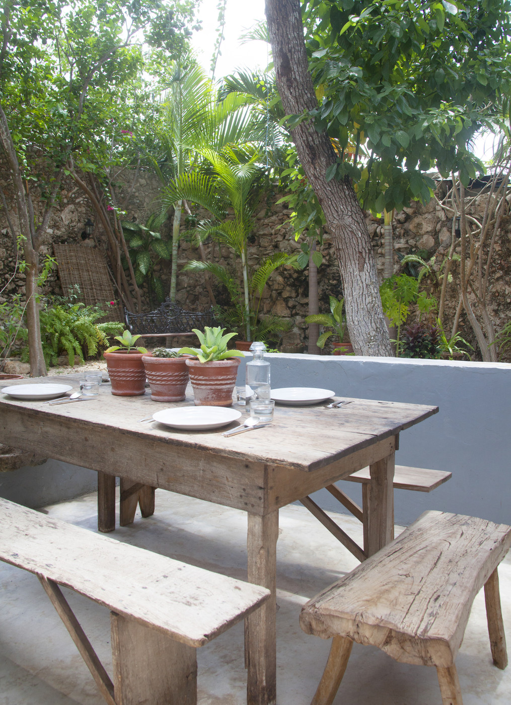 Outdoor dining area with tropical plants