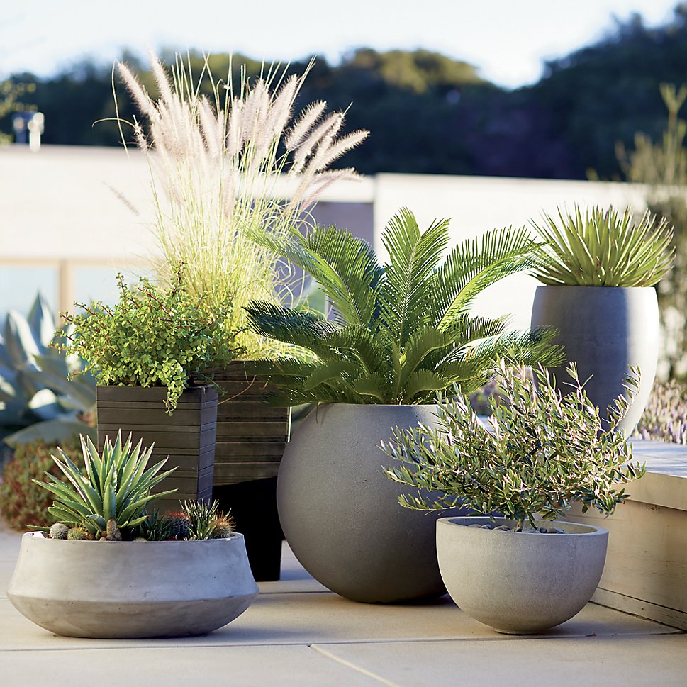 Transform Your Yard into a Garden Oasis