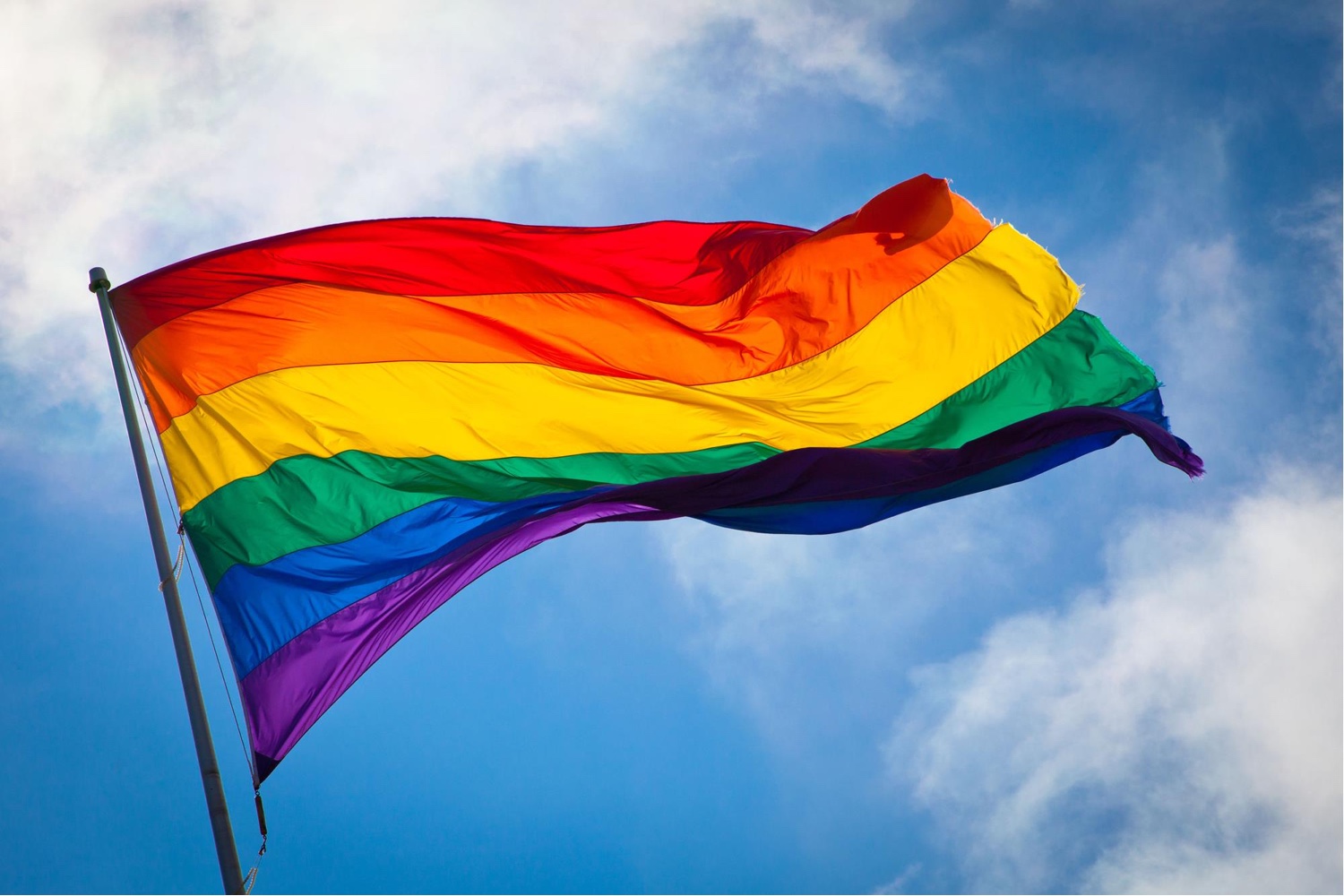 The Rainbow Flag by artist Gilbert Baker. 