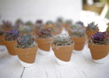 Succulent-party-favors-from-Leaf-Clay-217x155