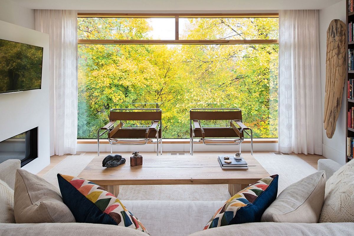 View of the tree canopy outside the family area