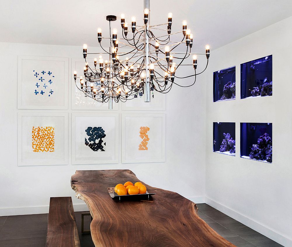 Aquariums used as an artistic addition to the modern dining room with live edge table