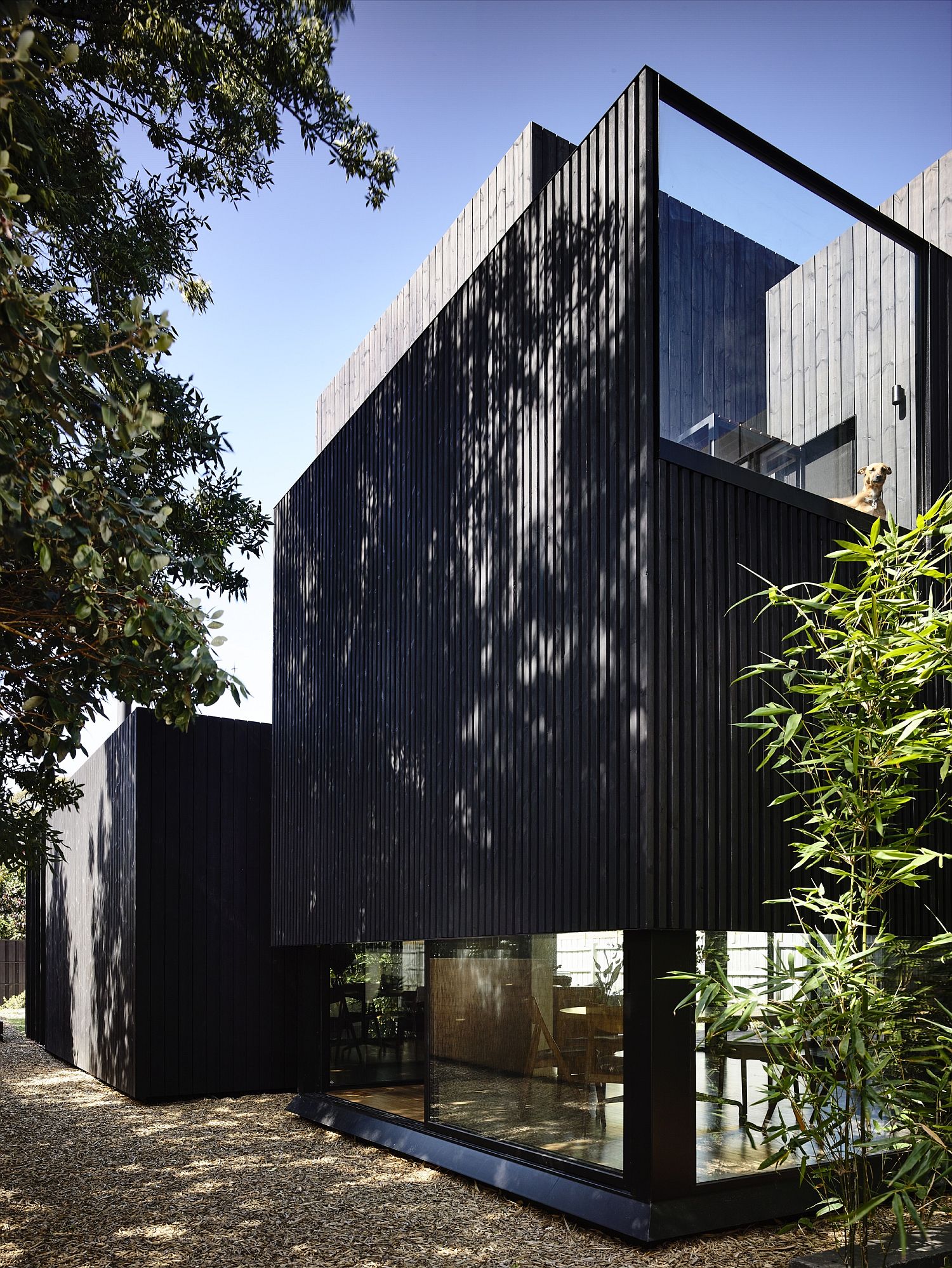 Contemporary exterior of the extension is dark and elegant