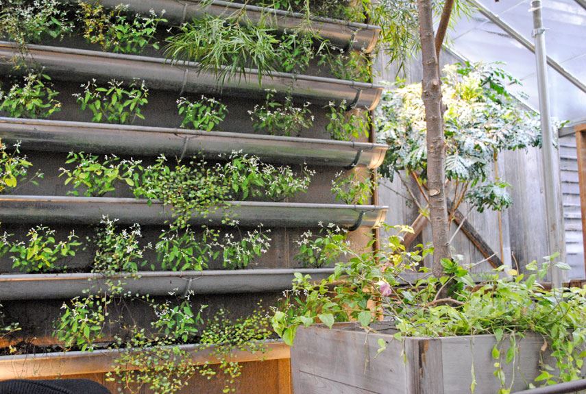 DIY rain gutter garden