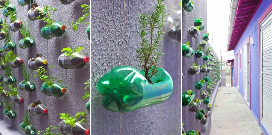 DIY plastic bottle vertical garden by Rosenbaum