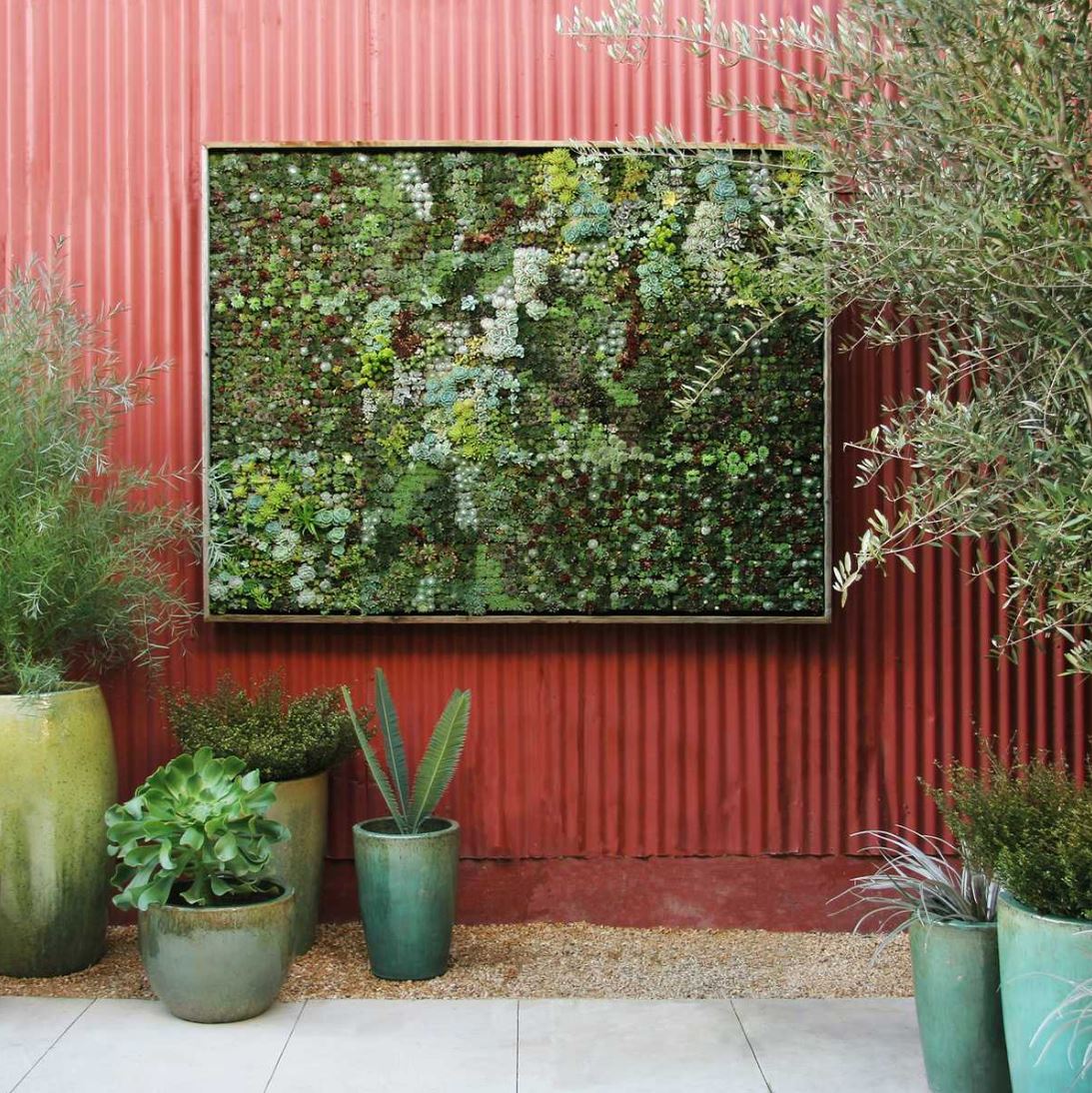 Framed vertical garden by Flora Grubb