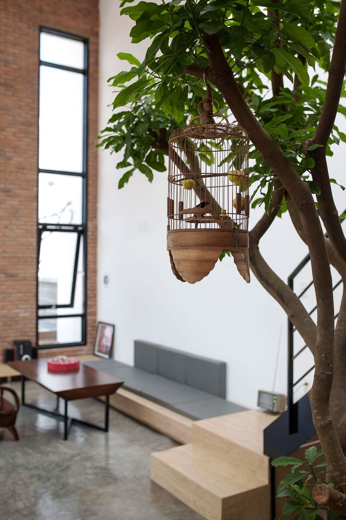 Indoor tree and cage add an interesting visual to the serene private residence