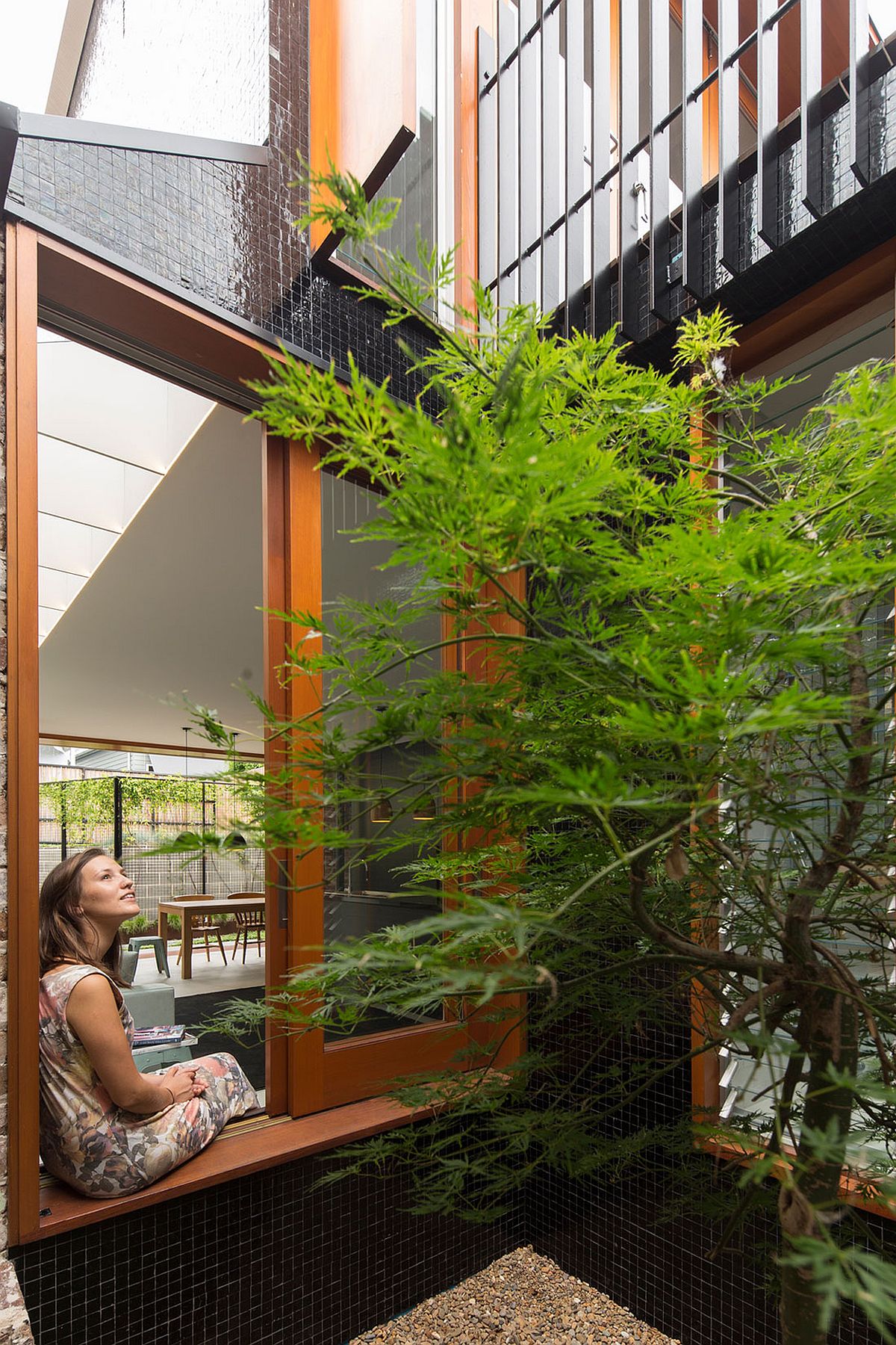 Japanese Maple for the tile lined courtyard offers a relaxing nook