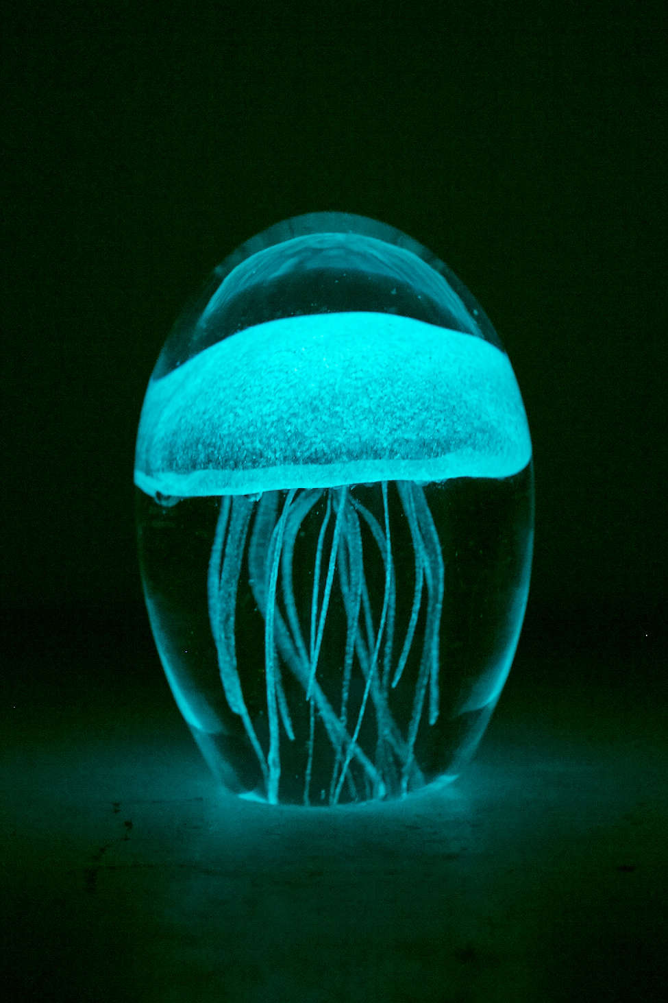 Jellyfish paperweight from Urban Outfitters