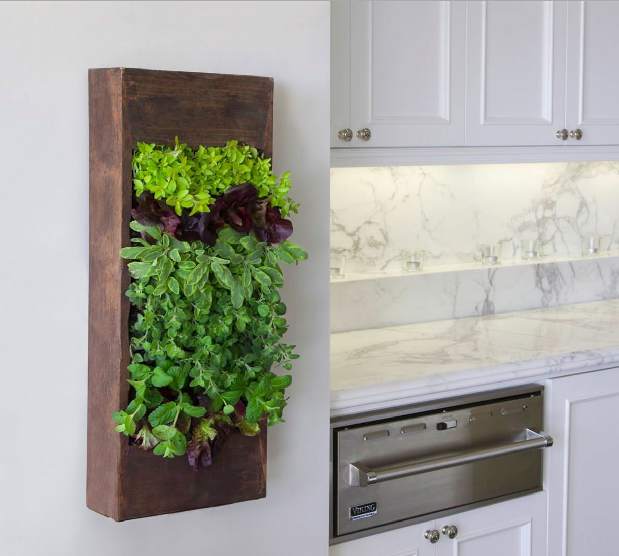 Kitchen with an herb living wall