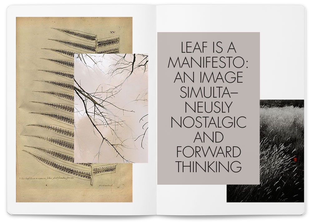 Leaf manifesto. Image courtesy of Lievore Altherr Molina.