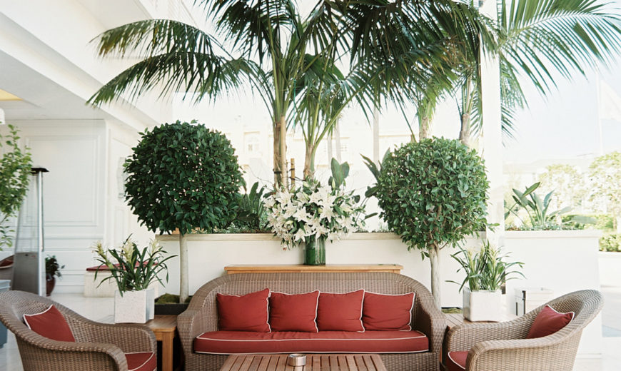 Topiary Style: a Dash of Manicured Charm