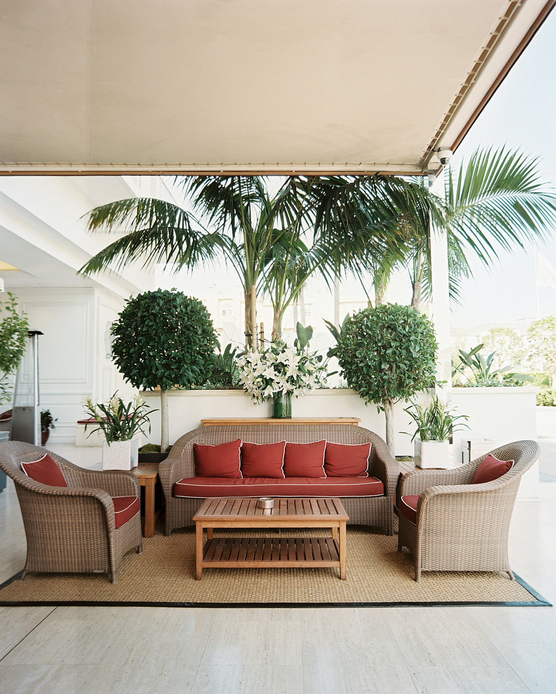 Outdoor living area with matching topiaries