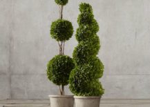 Preserved-boxwood-topiaries-from-Restoration-Hardware-217x155