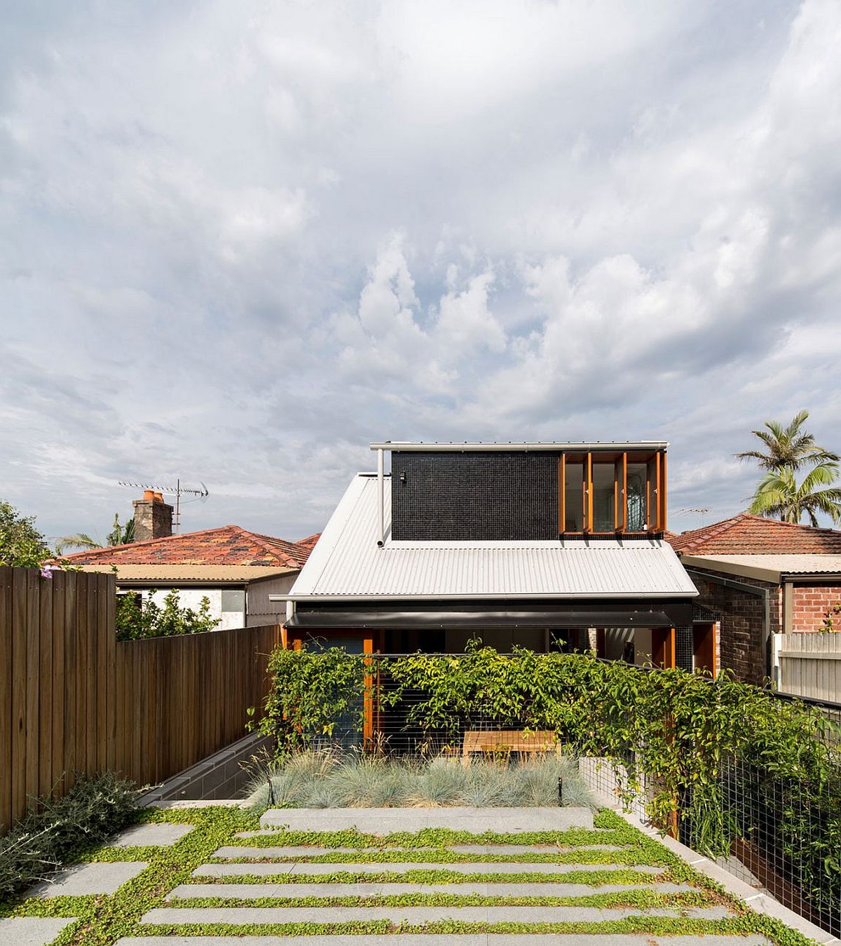 Rear garden of Downsize-Upsize House in North Shore, Sydney