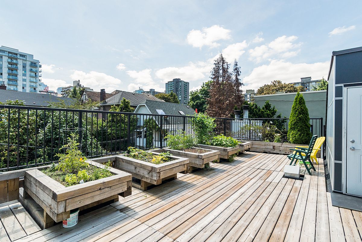 Rooftop garden and deck at the Nicola Street apartment