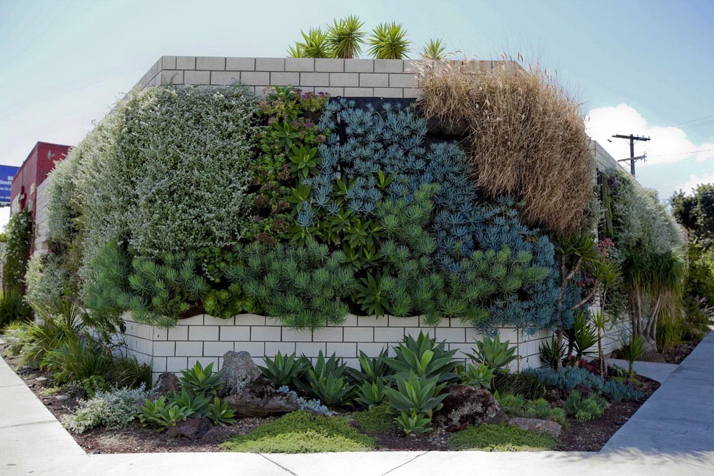 Vertical garden showcasing Wally by Woolly Pockets