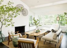 Breezy-midecnetury-living-room-with-decor-that-exudes-a-natural-vibe-217x155