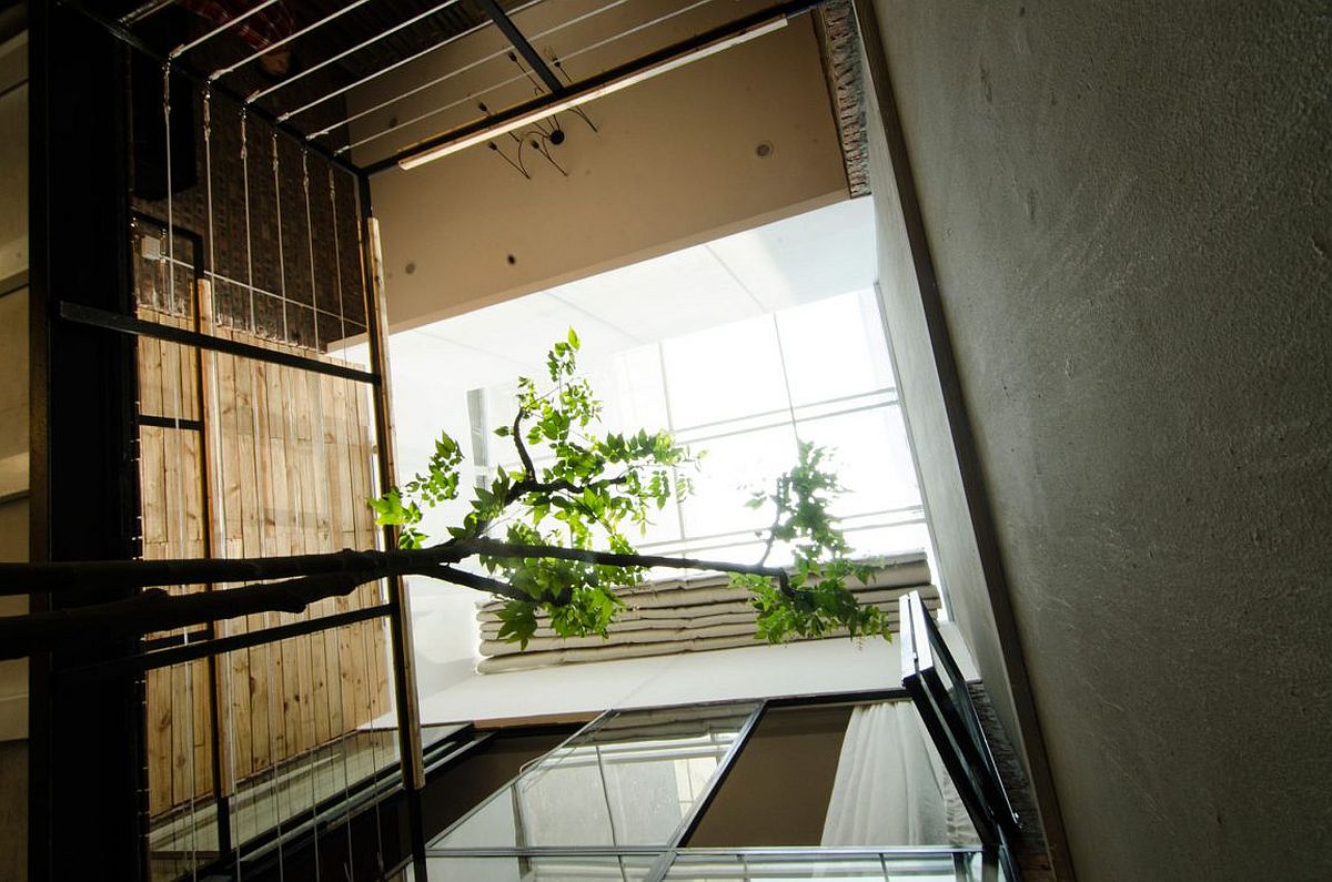 Centrally placed atrium brings natural light and freshness into the small home