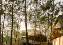 Tall-trees-and-forest-landscape-surround-the-Five-Houses-in-Mexico-217x155